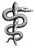 Biomed Rare Books, LLC